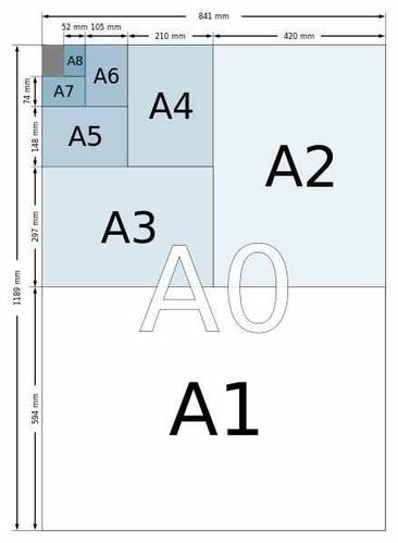 a3纸尺寸-a3纸尺寸长和宽