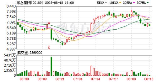 东岳(00189.HK)附属东岳硅材上半年亏损1.92亿人民币