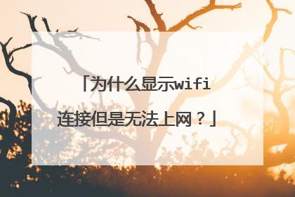 为什么上不了网-为什么上不了网wifi正常