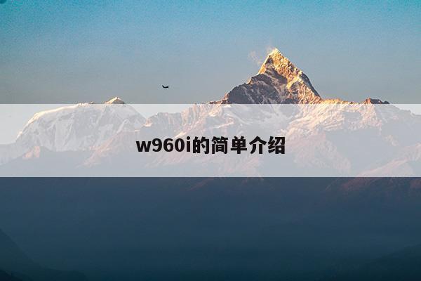 w960i的简单介绍