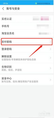 如何更改支付宝密码-如何更改支付宝密码支付密码
