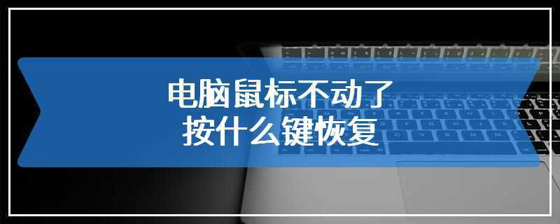 鼠标 不动-鼠标不动了按什么键恢复