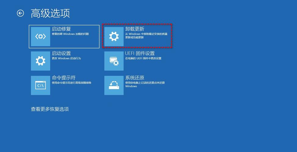 升级WIN11-升级win11后怎么退回win10