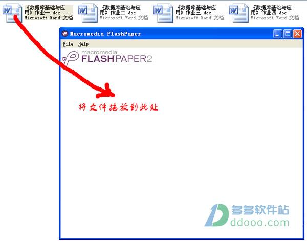 flashpaper-flashpaper是什么文件格式