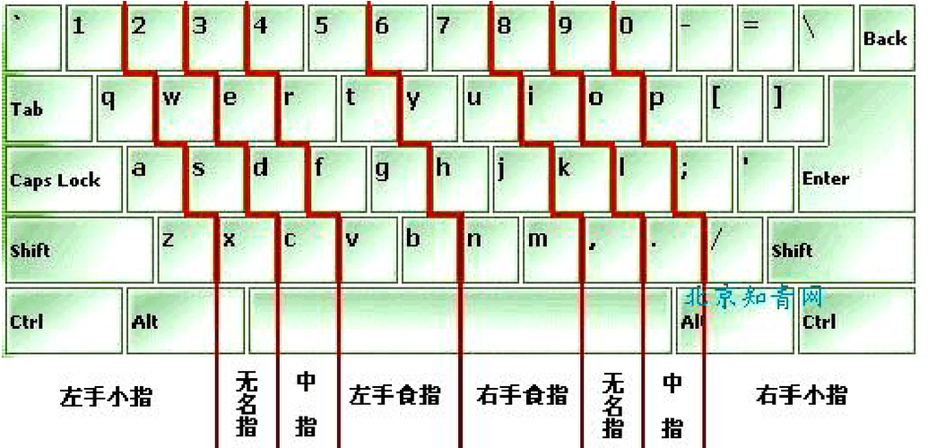 键盘指法练习软件-键盘练打字指法零基础软件