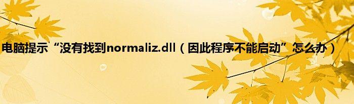 normaliz.dll下载-normalir.dll