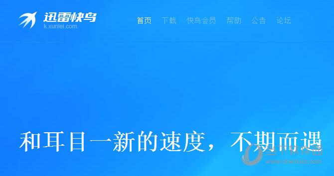 迅雷快鸟官网-迅雷快鸟官网下载