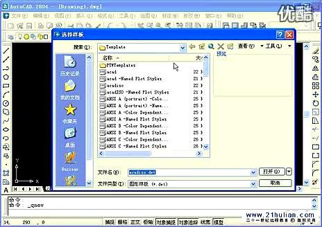 auto cad2004-autocad2004图形文件和样板文件的扩展名