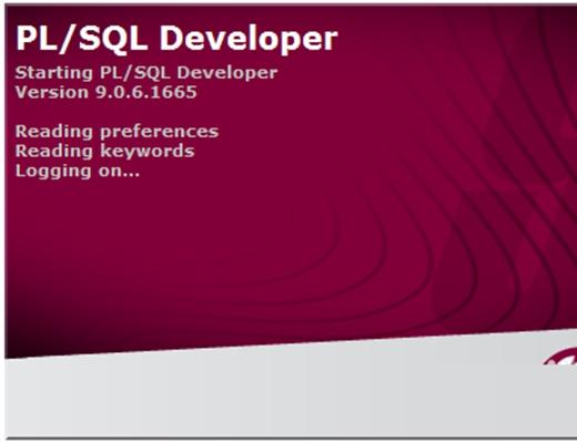 pl sql-plsql developer