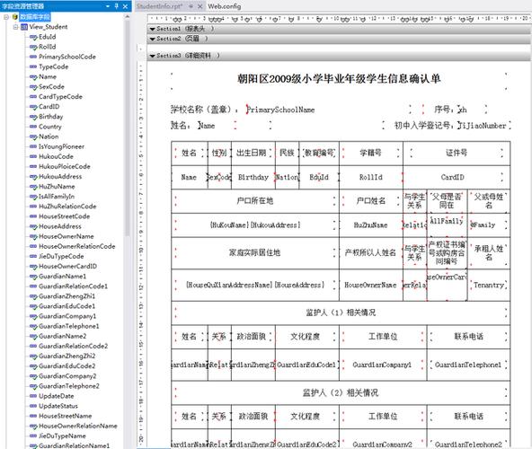 水晶报表 下载-水晶报表软件下载