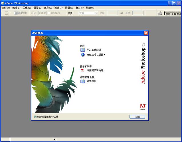 ps cs5简体中文版下载-photoshop cs5中文版免费下载